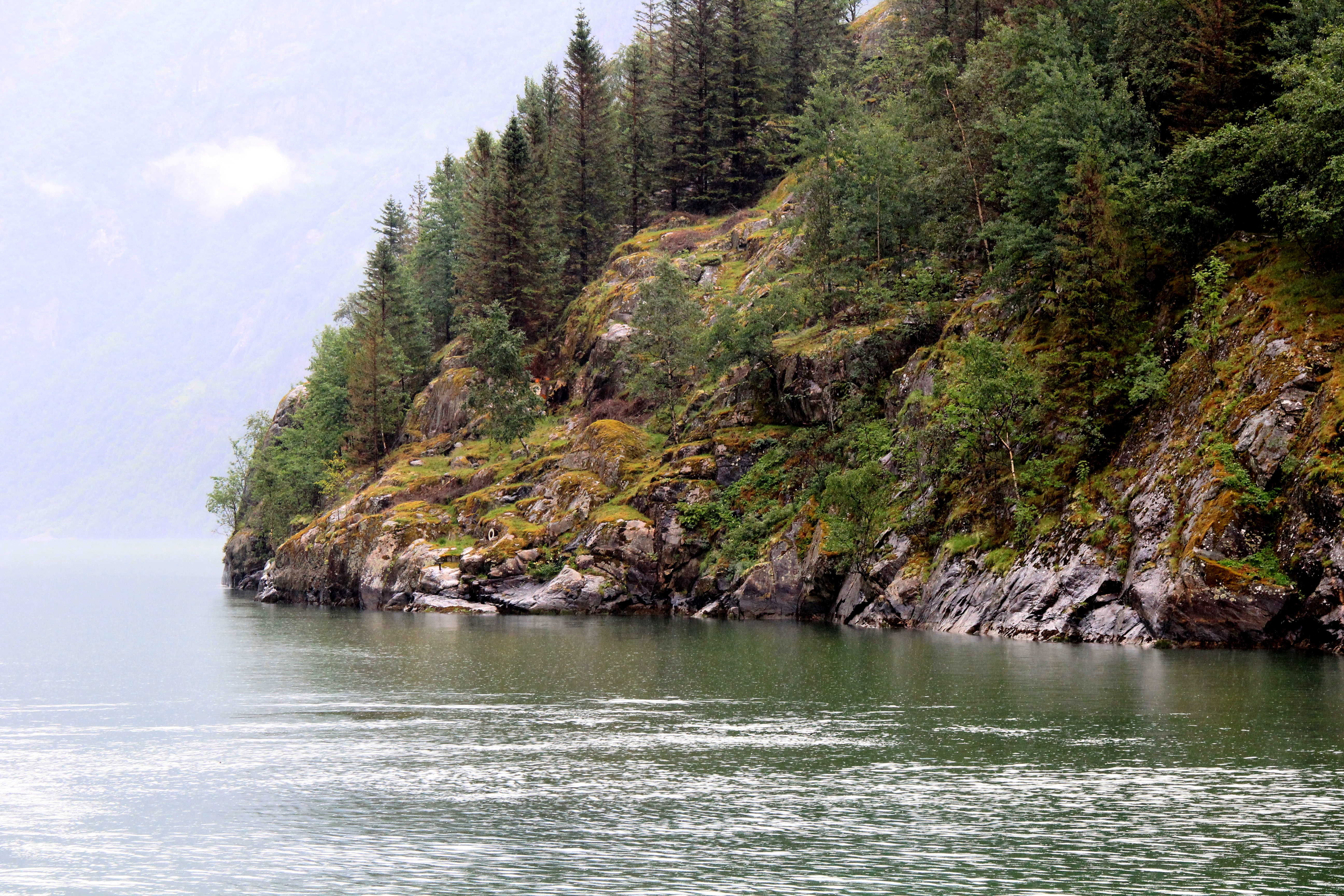 Photo июня 7, 11 36 42